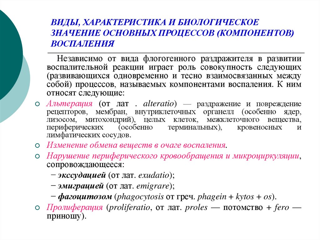 Виды воспаления патология