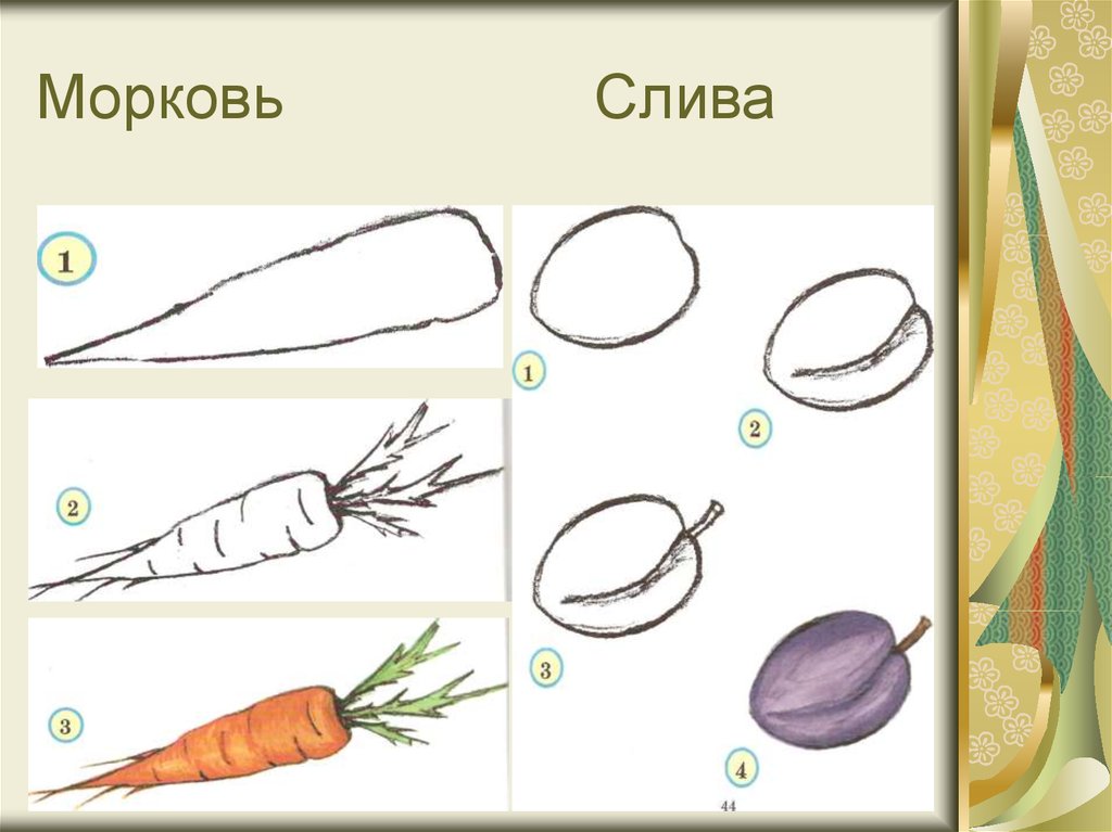 Морковь Слива