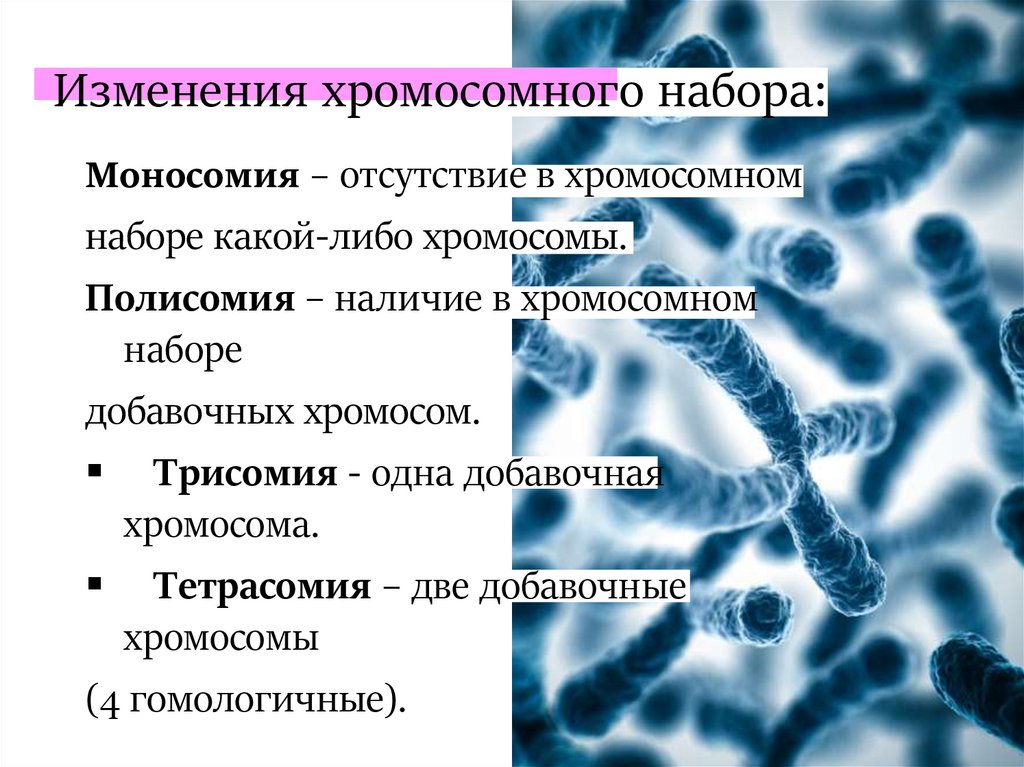 2.7 Хромосомные болезни. Общая характеристика хромосомной патологии. Лишняя 21 хромосома
