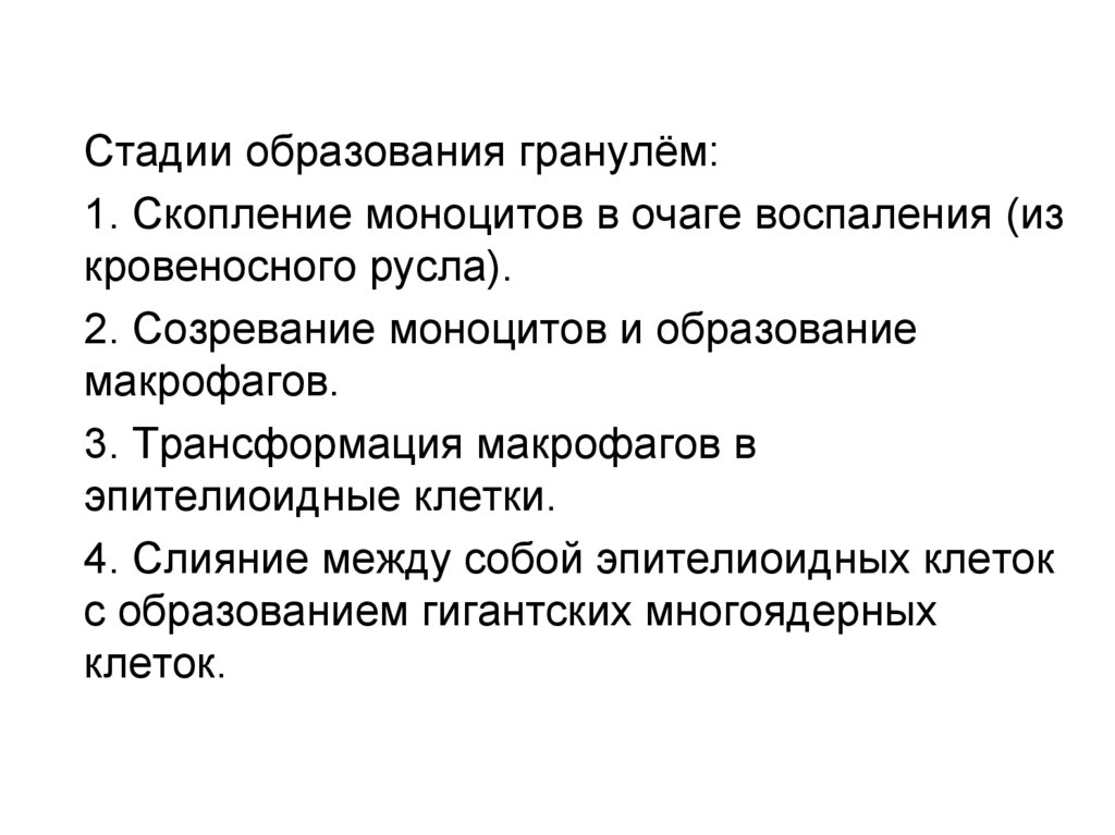 Степени обучения. Этапы образования гранулемы. Стадии образования гранулем. Стадии образования человека. Классификация, стадии образования и исходы гранулем..