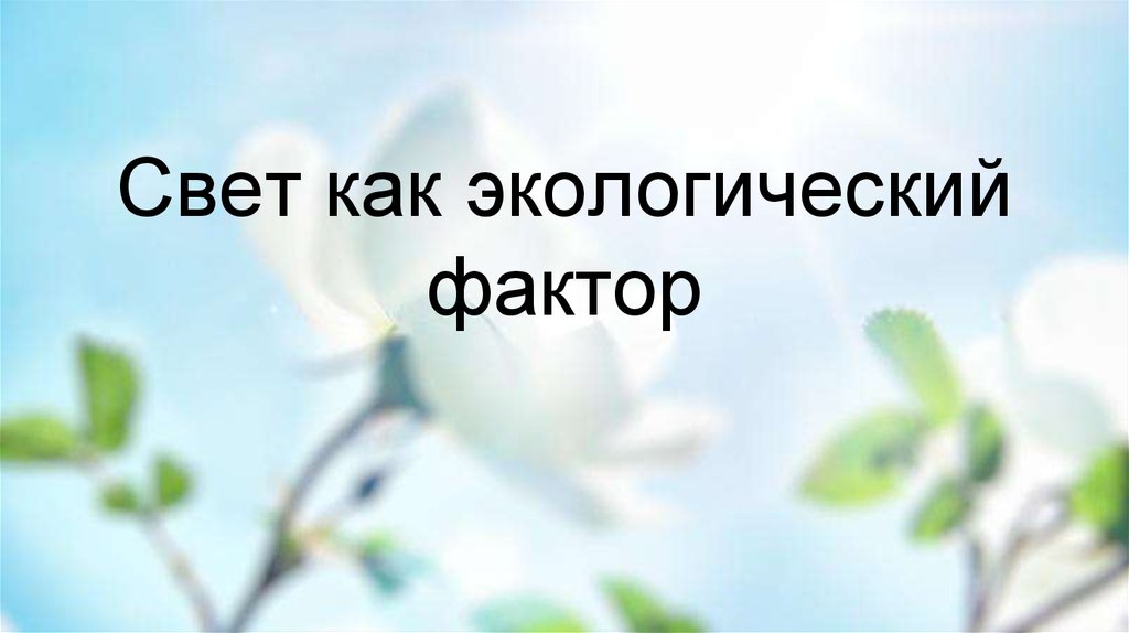 Фактор света. Свет экологический фактор. Свет как экологический фактор. Свет как экологический фактор в жизни растений. Экологический фактор свет примеры.