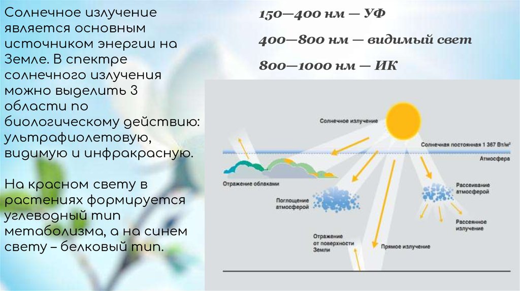 Основным источником видимого излучения солнца. Солнечная радиация как экологический фактор. Свет как экологический фактор. Влияние света на организмы экология. Солнечные лучи излучение.