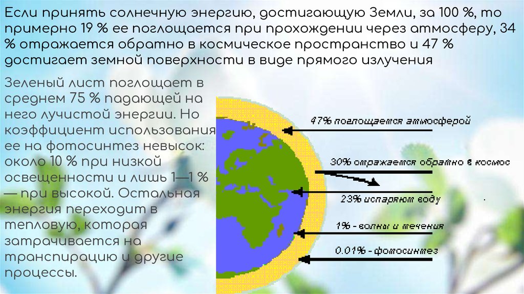 Деятельность современного человека как экологический фактор 11 класс презентация