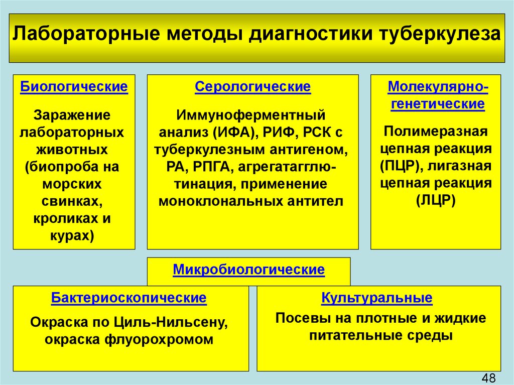 Схема бактериологической диагностики туберкулеза