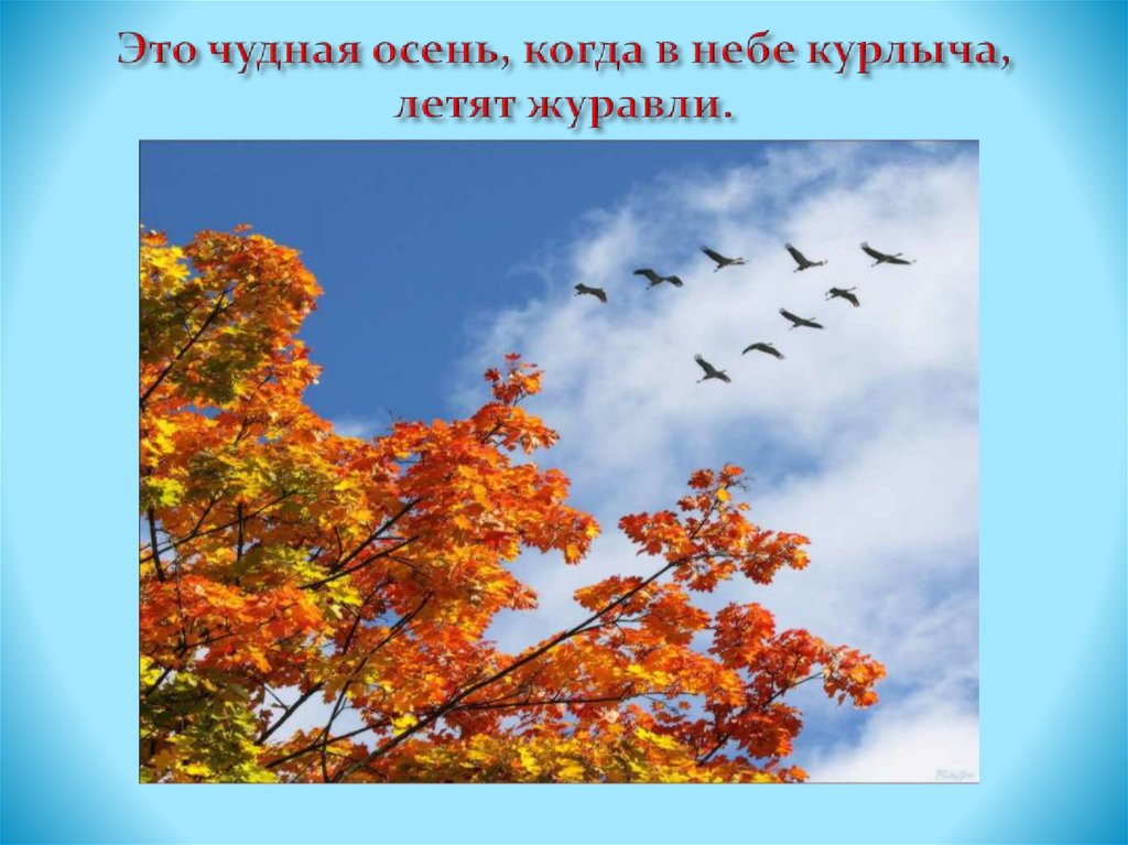 Это чудная осень, когда в небе курлыча, летят журавли.