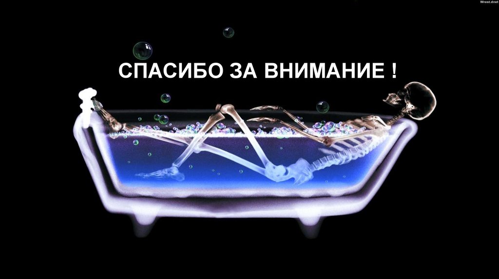 СПАСИБО ЗА ВНИМАНИЕ !