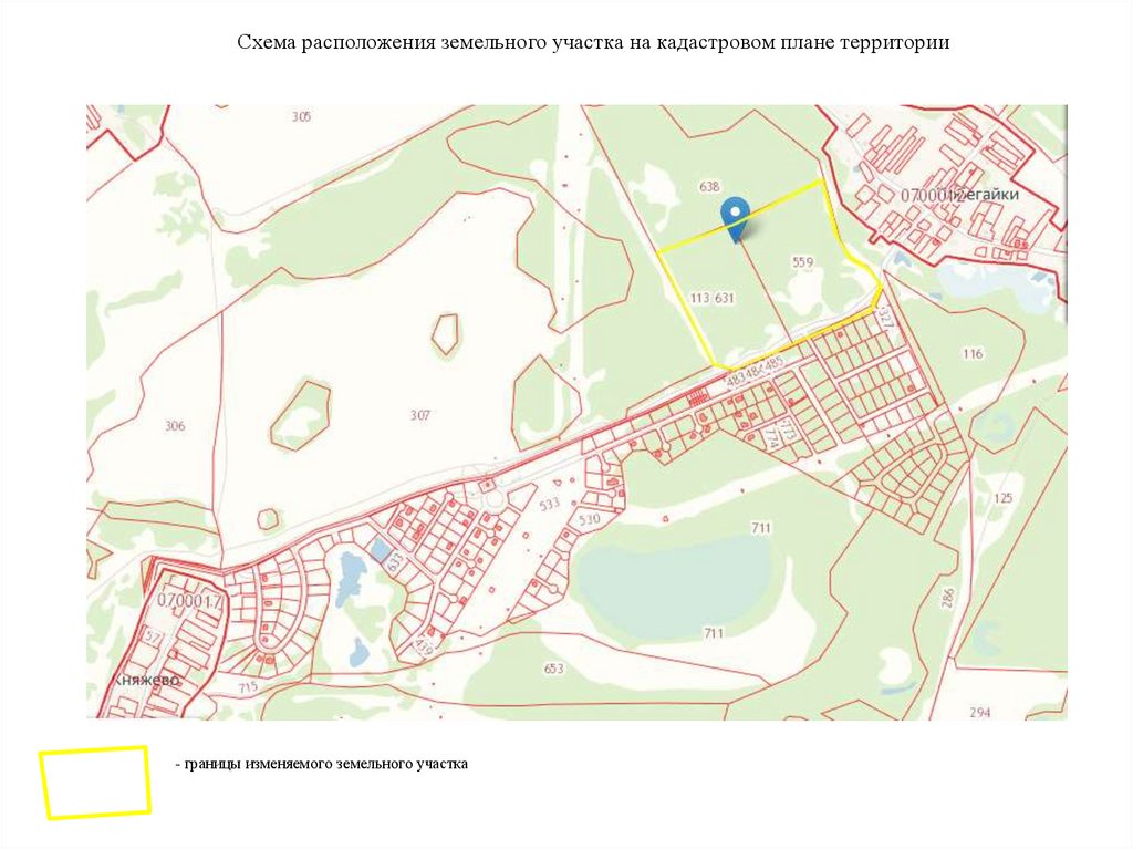 Публичная карта г бор нижегородской обл