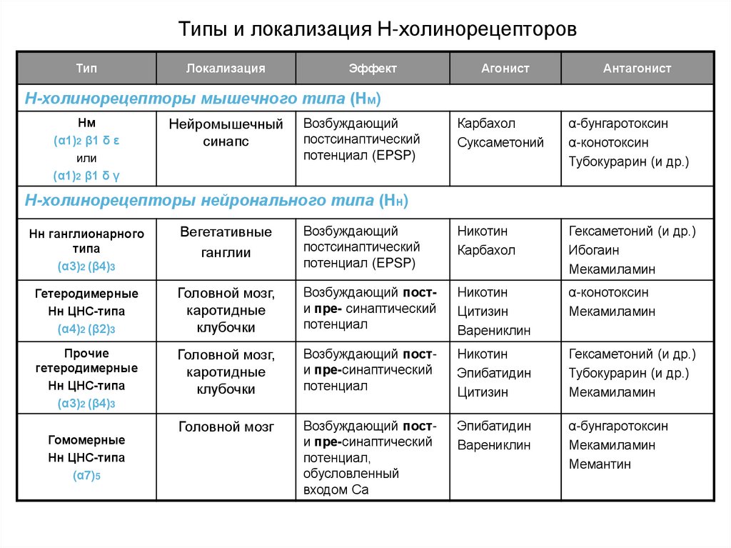 Тип н. Типы н-холинорецепторов. М1 холинорецепторы локализация. Локализация м и н холинорецепторов таблица. Классификация и локализация холинорецепторов.