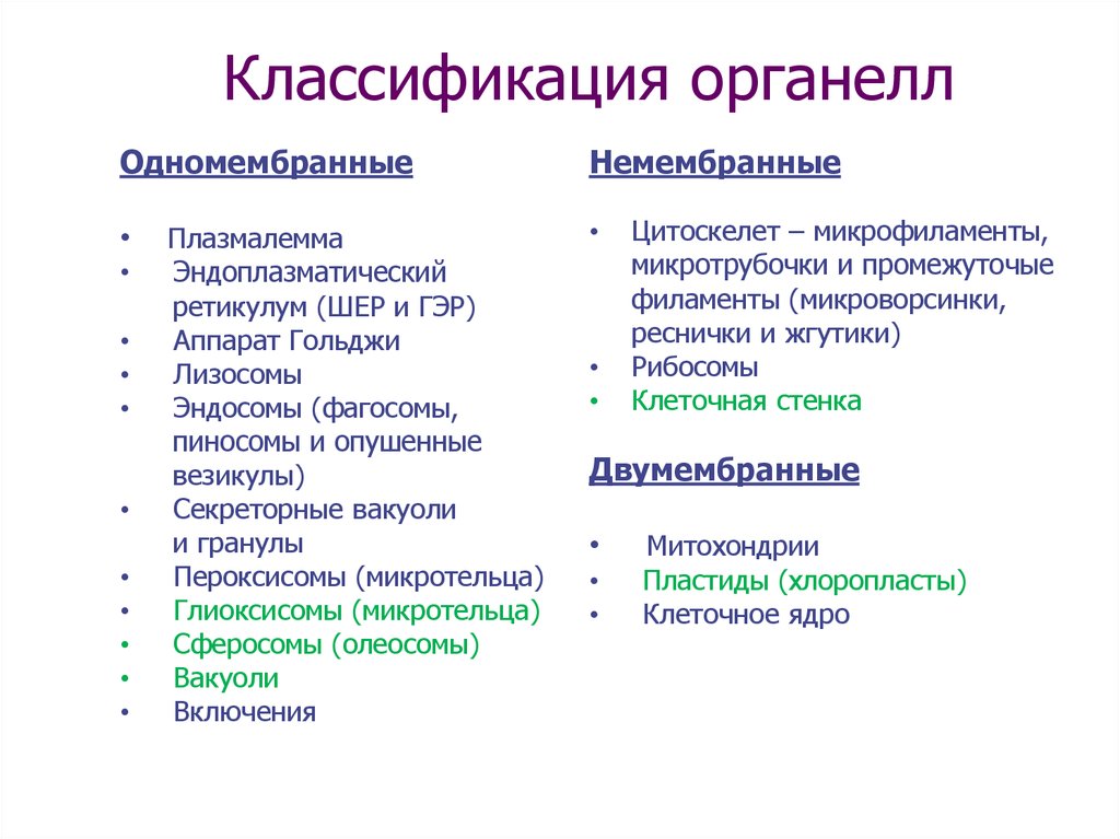 Мембранные органоиды клетки таблица