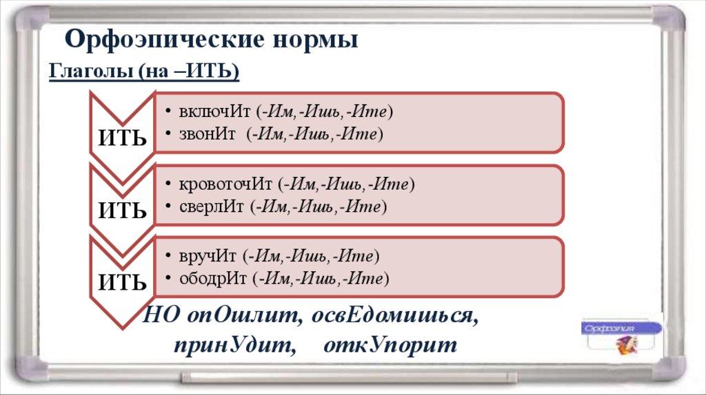 Орфоэпические нормы грамматических форм