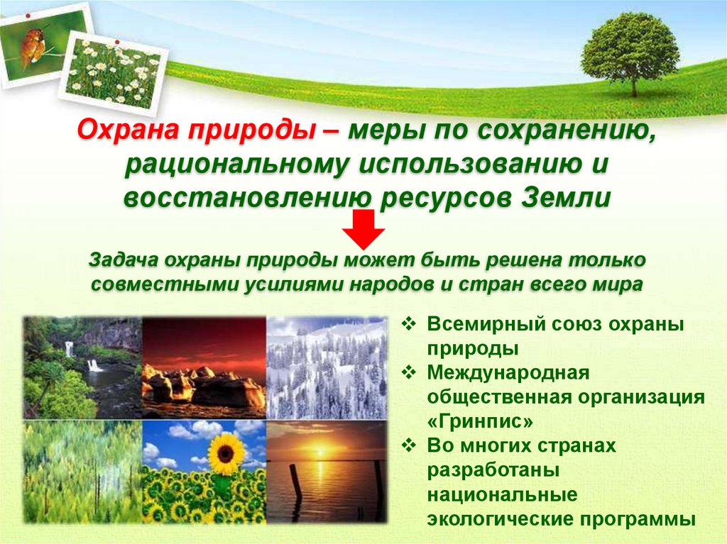 Методы охрана природы. Охрана природы. Охрана природы презентация. Меры по сохранению природы. Меры охраны природы.