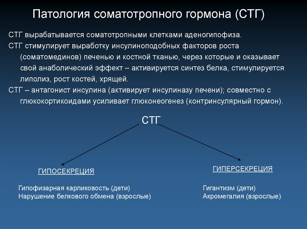 Избыток стг. Патология соматотропного гормона. Соматотропный гормон (СТГ). Соматотропный гормон (СТГ, гормон роста, соматотропин). Соматотропный гормон функции.