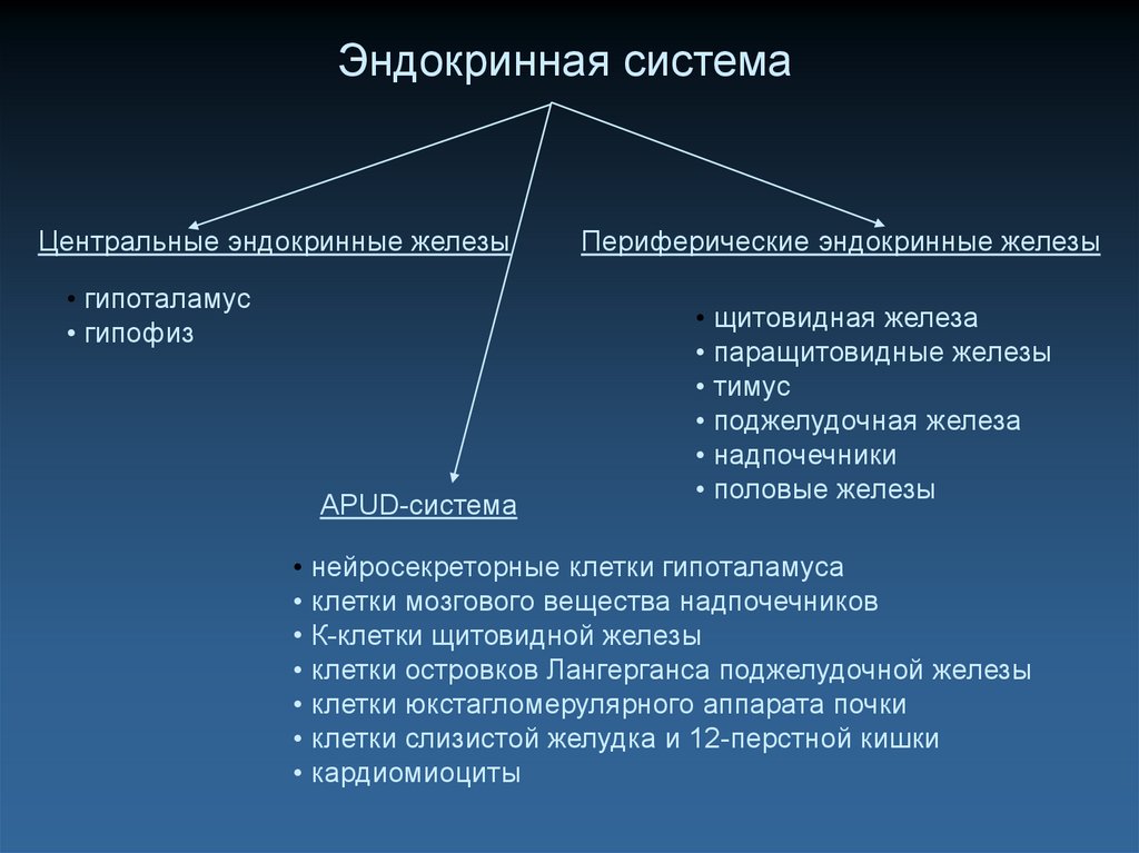 Центр железы. Центральные эндокринные железы. Центральные жндогенные железы. Центральная и периферическая эндокринная система. Центральные и периферические эндокринные железы.