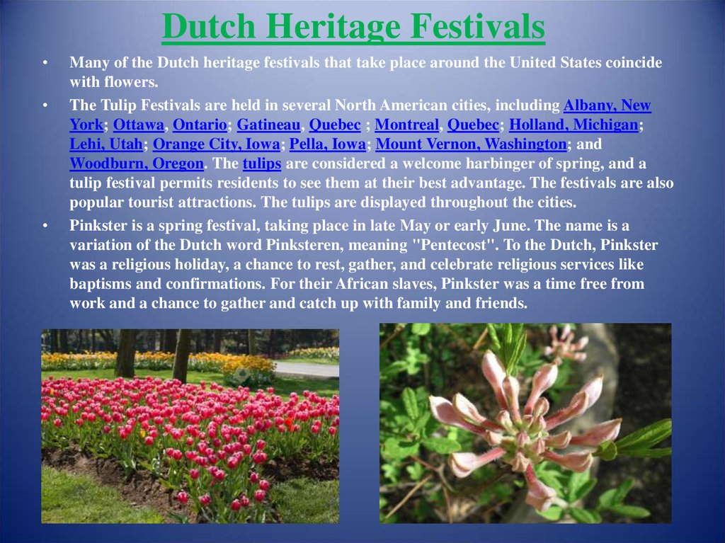 Dutch Heritage Festivals