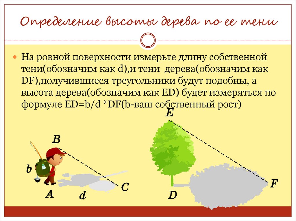 Для определения высоты башни можно использовать зеркало как показано на рисунке луч света dc