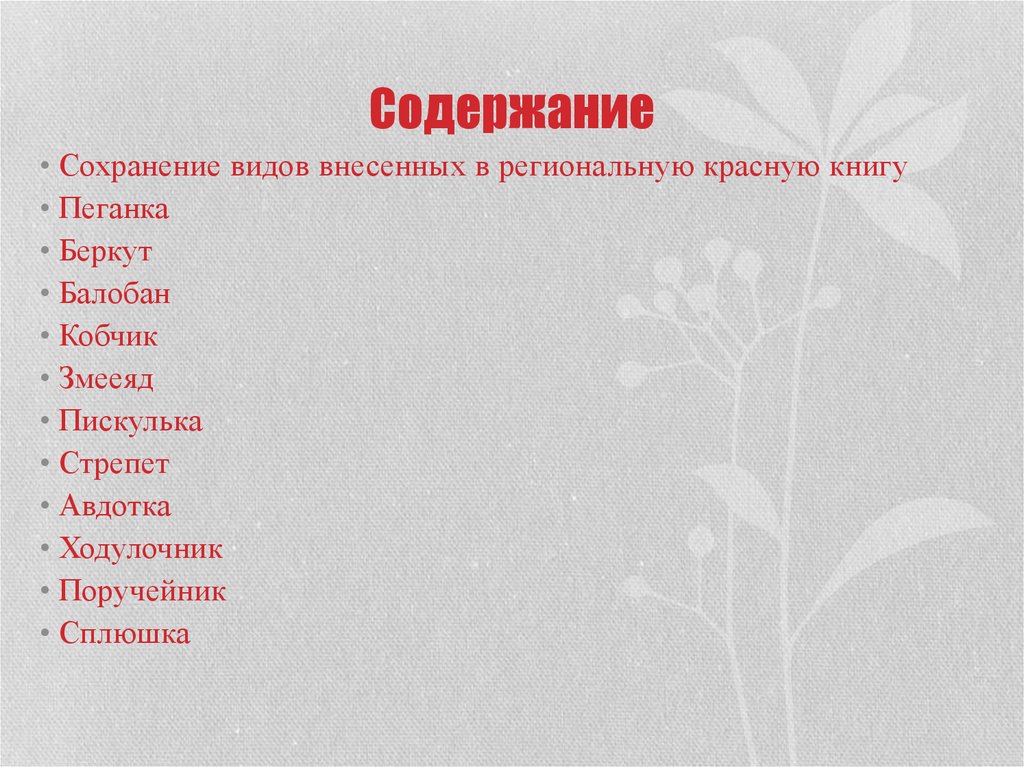 Сохранение видов