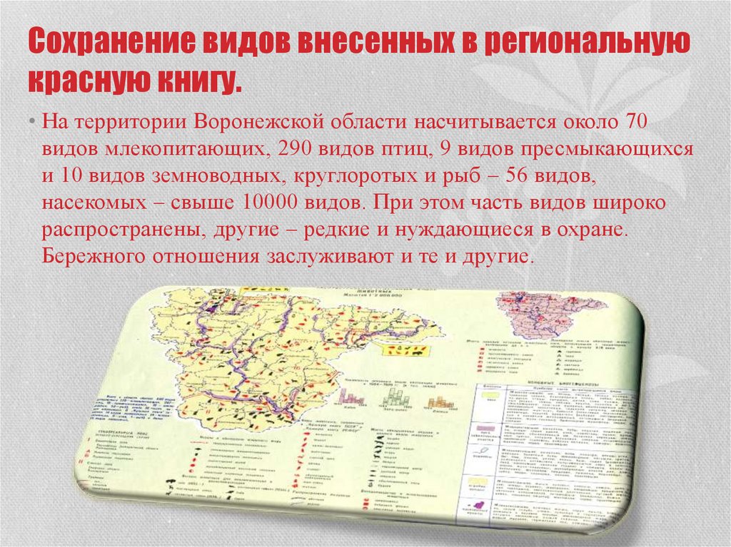 Категории красной книги