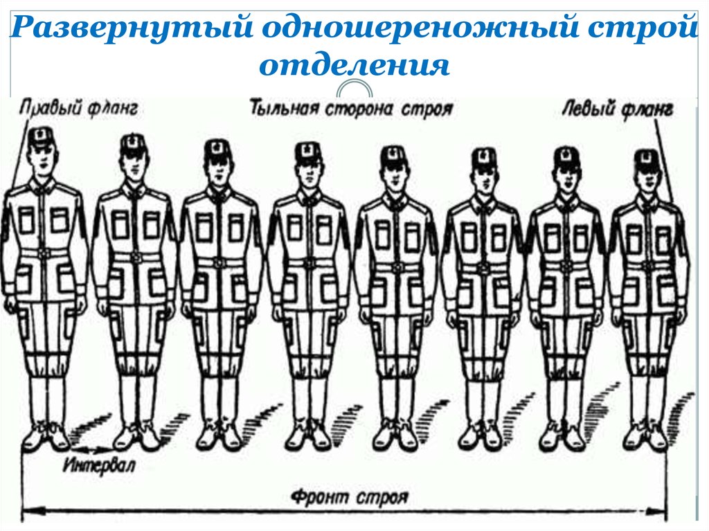 Разомкнутый строй. Развернутый Строй отделения - двухшереножный. Развернутый Строй отделения - одношереножный. Двухшереножный Строй и его элементы. Одношереножный Строй это в армии.