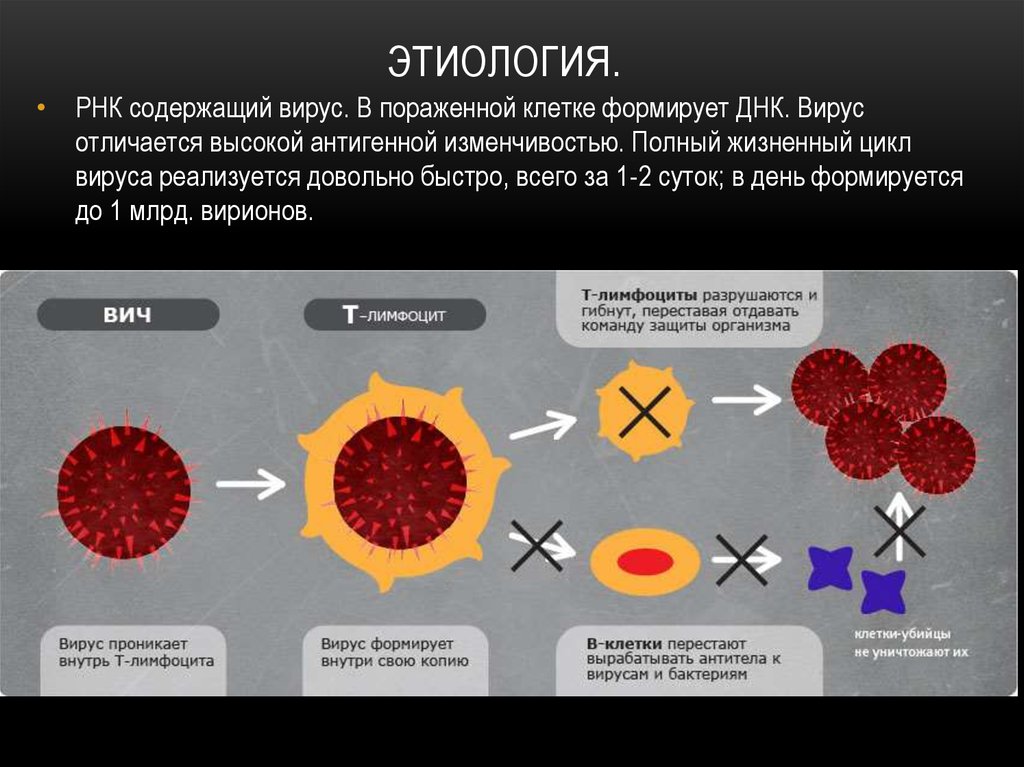 Вич содержит. Схема поражения иммунной системы при ВИЧ-инфекции. Схема поражения иммунной системы при ВИЧ. Вирус ВИЧ.