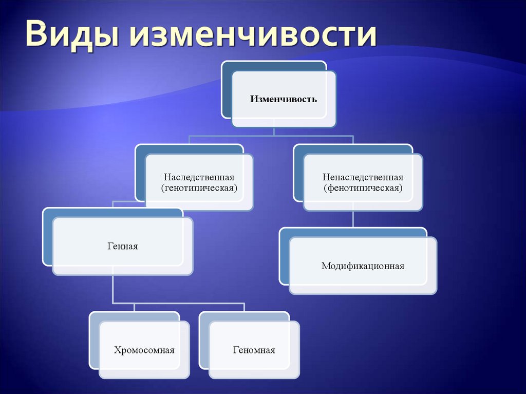 Какие виды изменчивости вам известны 9 класс