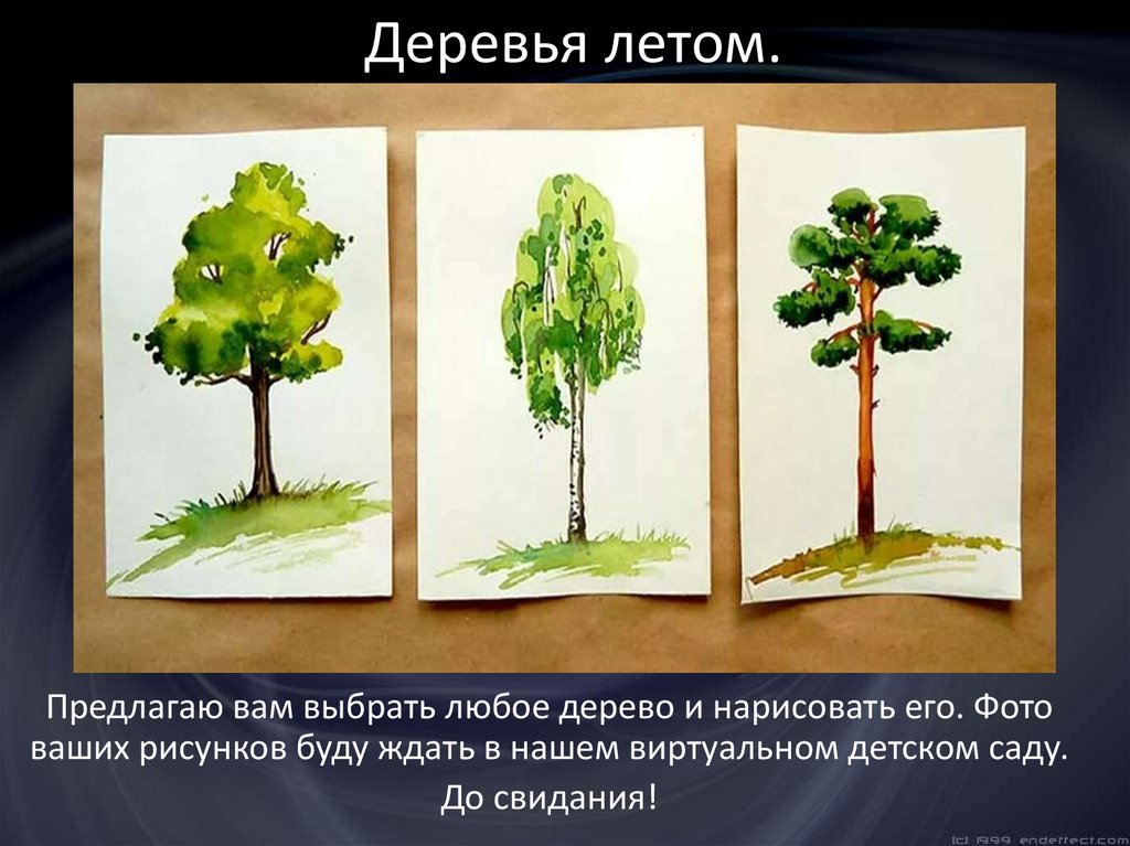 Учимся рисовать деревья (для детей подготовительной группы) - презентация  онлайн