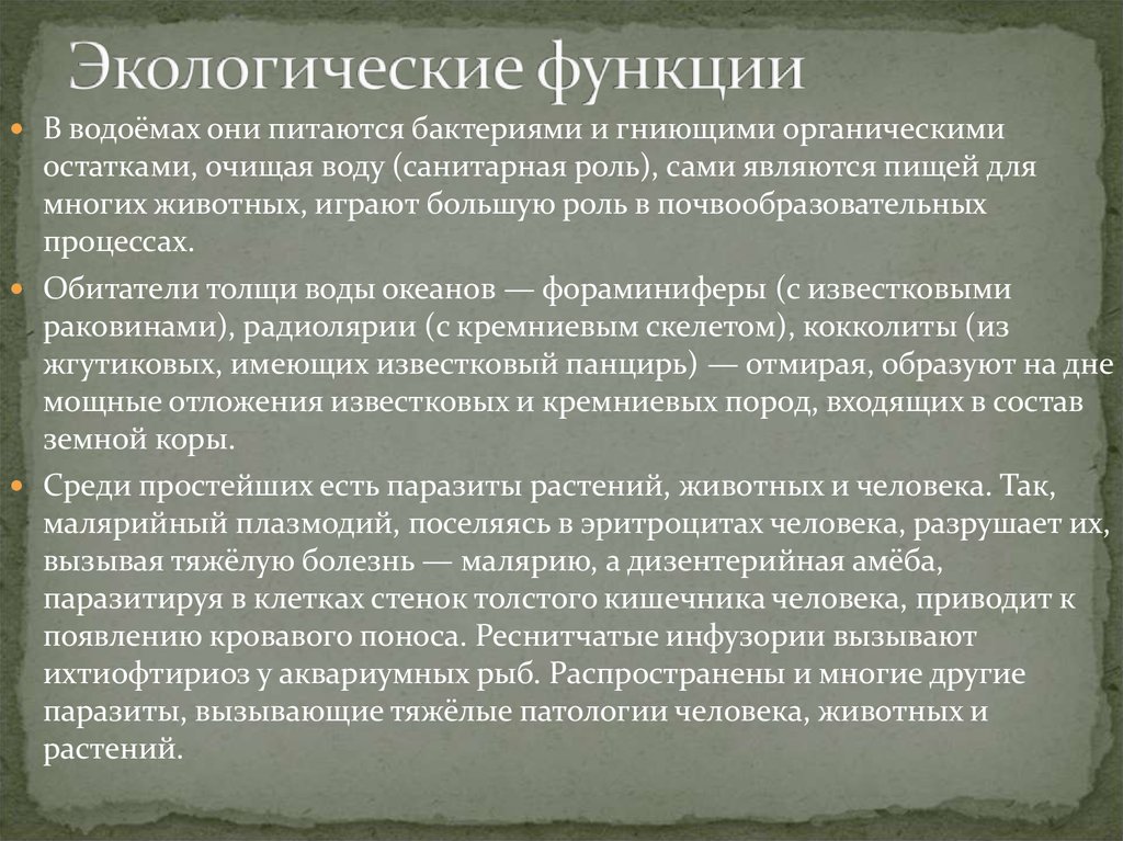 Функция эколога. Этологические функции. Экологическая функция. Экологическая функция государства.