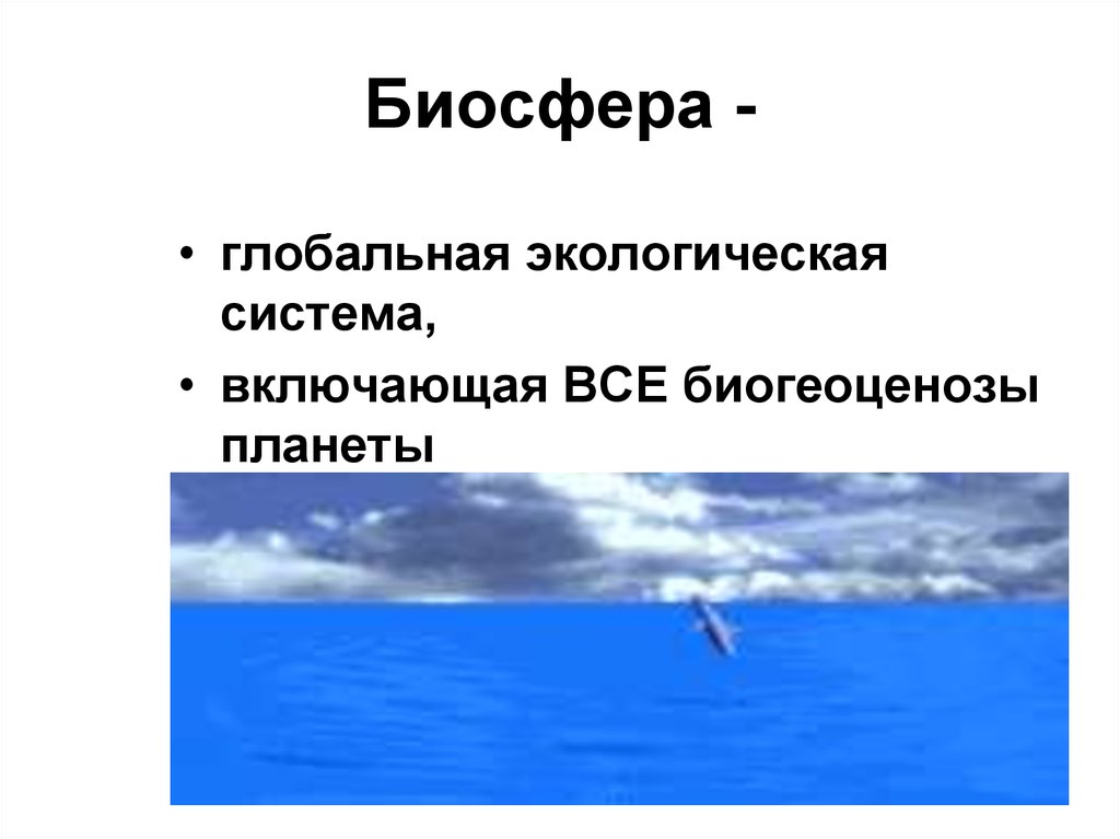 Биосфера глобальная экосистема презентация 8 класс