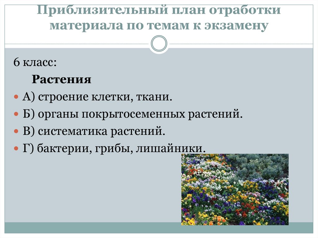 Презентация подготовка к егэ по биологии 11 класс