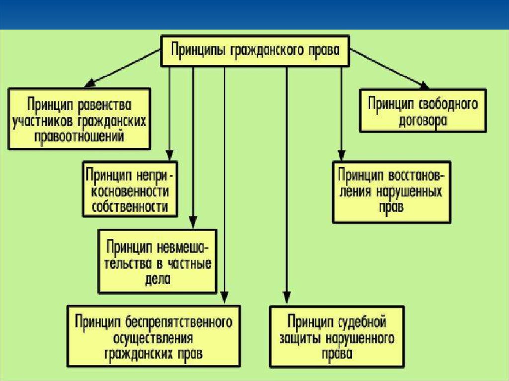 Принципы гражданского россии. Сущность гражданских прав.