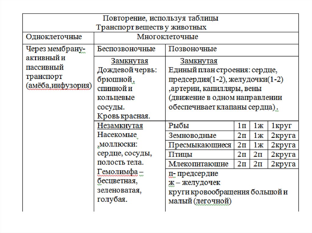 Сравнение беспозвоночных