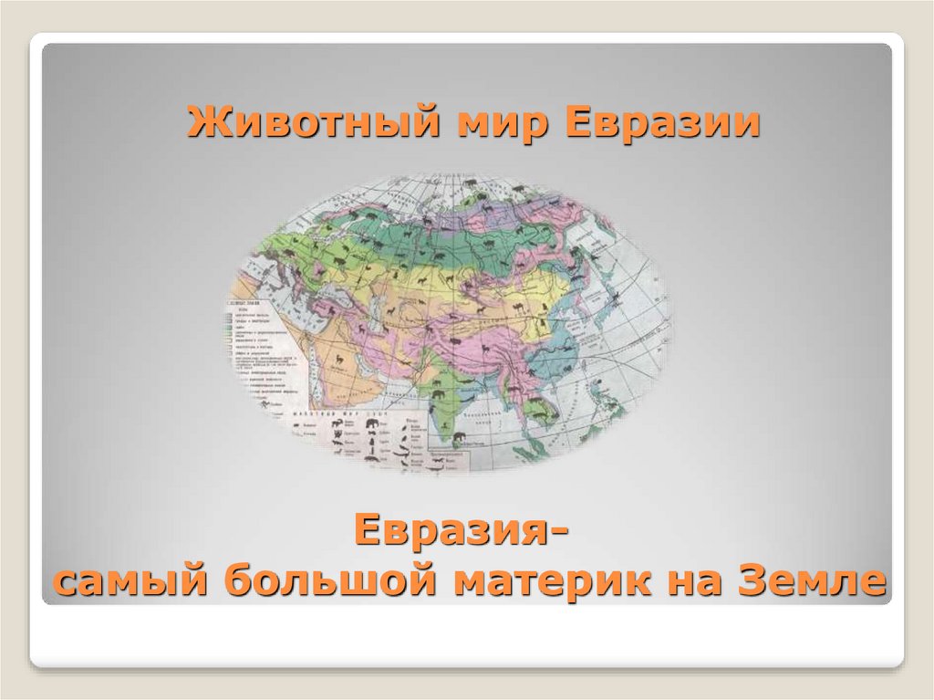 Презентация животный мир евразии