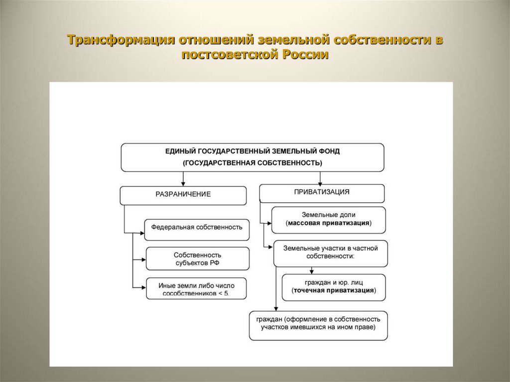 Трансформация отношений земельной собственности в постсоветской России