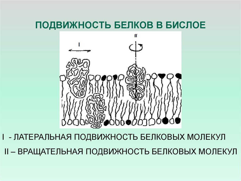 Метод латеральной конденсации презентация