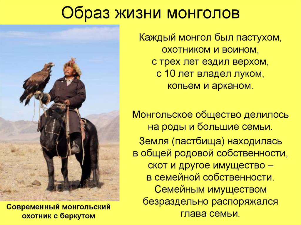 Образ жизни монголов