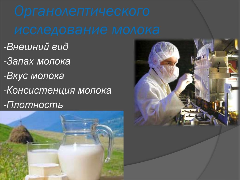 Органолептические вкуса и запаха. Исследование молока. Органолептическое исследование молока. Молоко исследование. Молоко исследование в лаборатории.