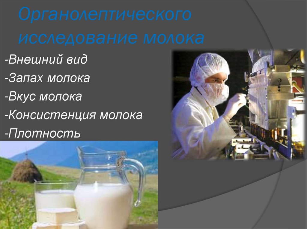 Исследование молочных. Органолептическое исследование молока. Органолептические пороки молока. Исследование проб молока для исследования. Внешний вид молока.