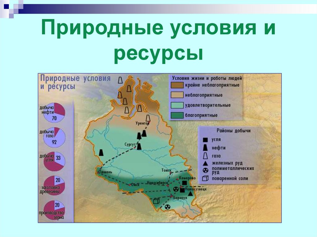 Природные ресурсы сибири 8 класс. Западно Сибирский район ресурсы. Западно-Сибирский экономический район Лесные ресурсы. Природные ресурсы Западно Сибирского района. Природные условия и ресурсы.