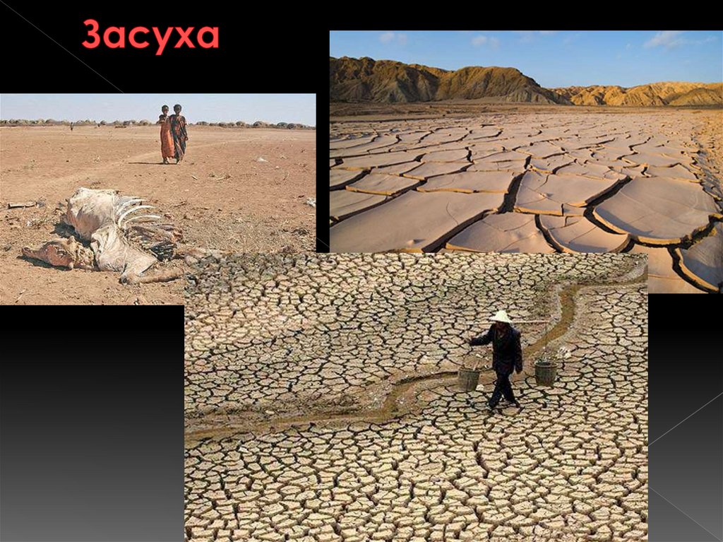 Почему засуха. Засуха. Природные катастрофы засуха. Сильная засуха. Засуха презентация.