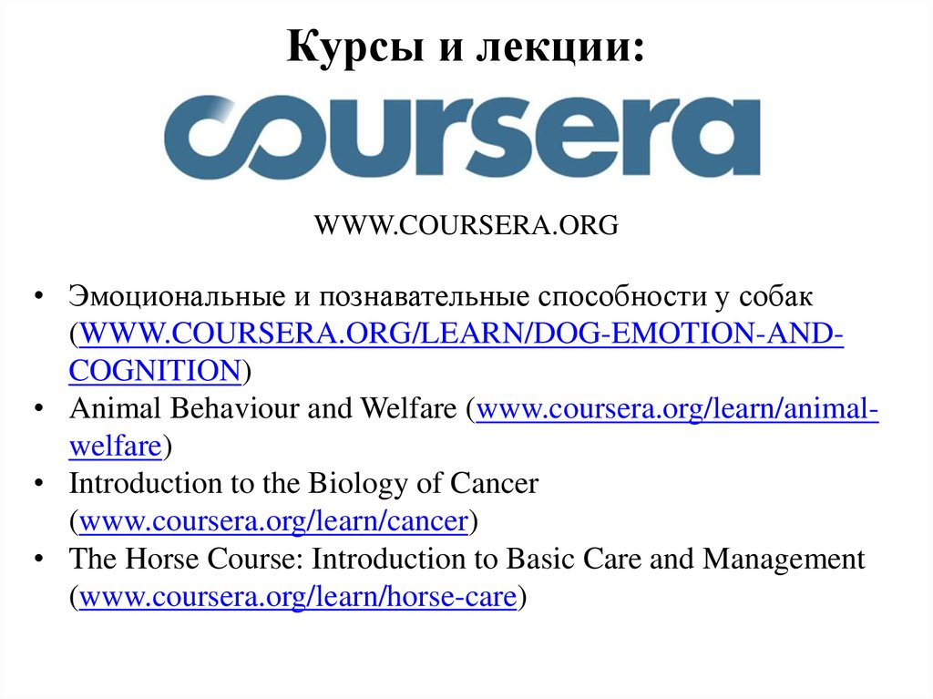 Coursera бесплатные курсы на русском языке