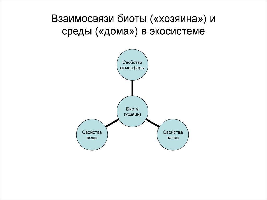 Островные биоты презентация