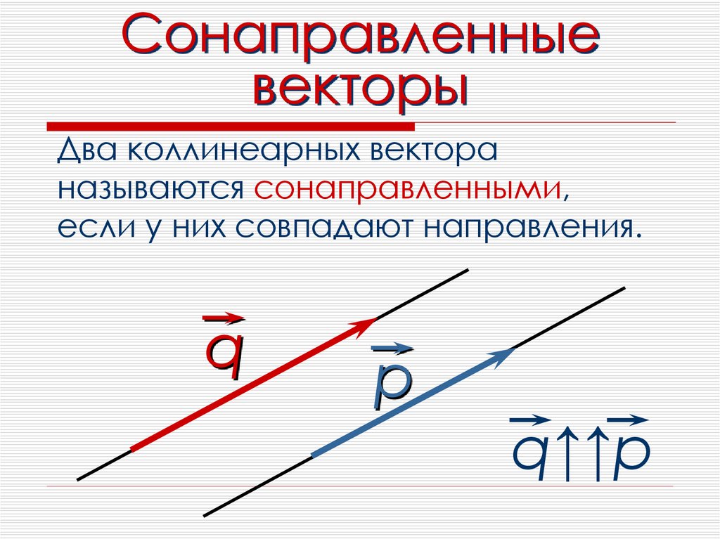 Вектор что это. Векторы сонаправлены. Сонаправлегнве вектора. Сонаправаленные ВЕКТОРАП. Сонаправдленые ветора.