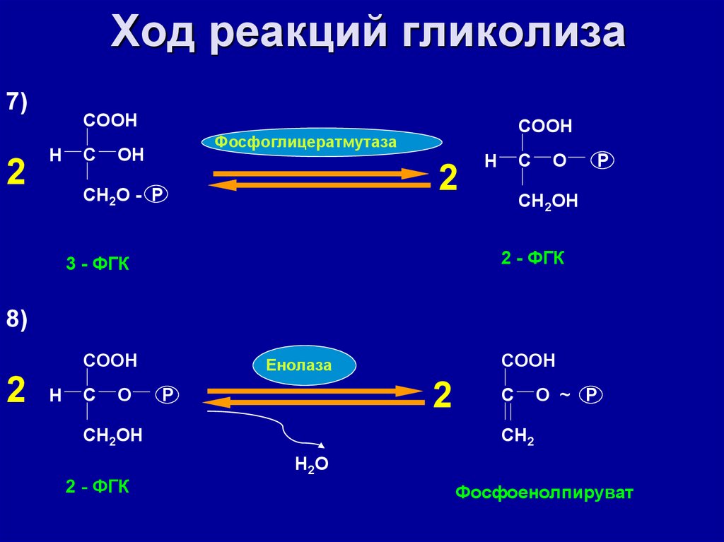 В ходе реакции. Ход реакций гликолиза. Ход реакции. Енолаза реакция. Фосфоглицератмутаза реакция.