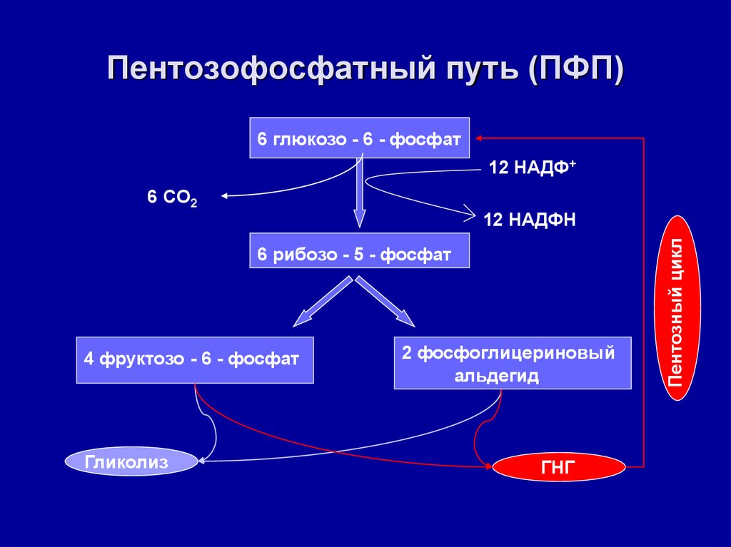 Пфп с схема