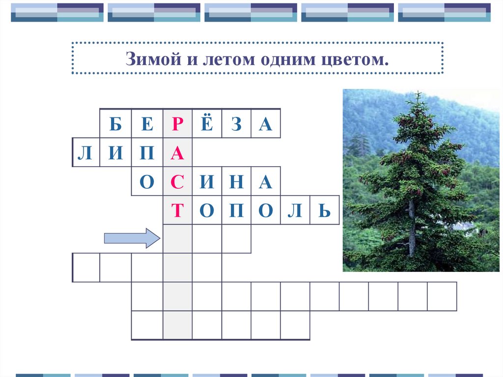 Зимой и летом одним цветов. Зимой и летом одним цветом. Зимой и летом 1 цветом. Зимой летом 1 цветам песня. Зимой и летом одним цветом разобрать по роду.