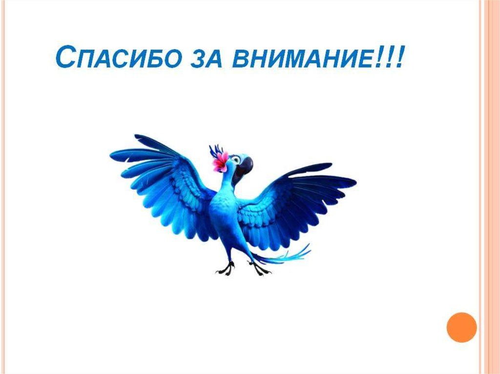 Внимание птицы. Спасибо за внимание птицы. Спасибо за внимание с птичкой. Пичка спасибо за внимание. Спасибо за внимание с попугаем.