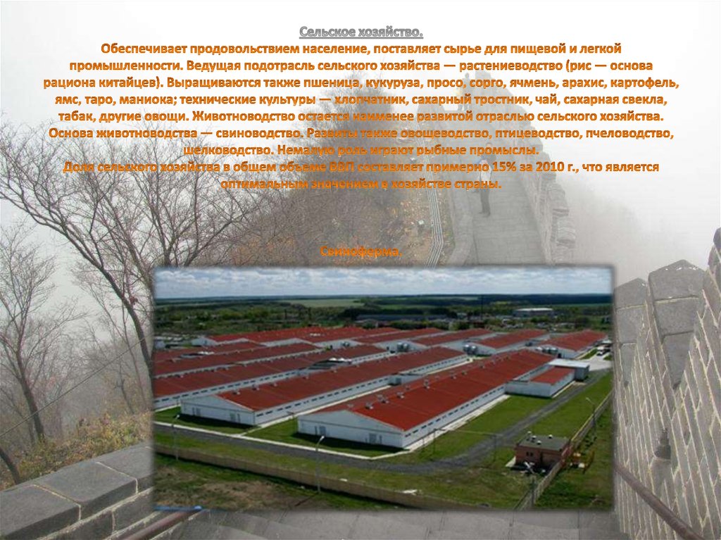 Сельское хозяйство. Обеспечивает продовольствием население, поставляет сырье для пищевой и легкой промышленности. Ведущая