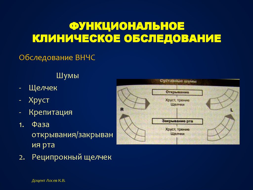 План клинического осмотра животного