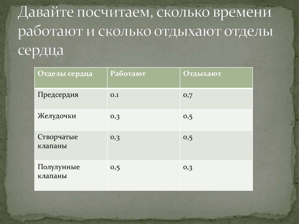 Сколько времени работает. Соотношение работы и отдыха. Соотношение времени работы сердца. Сколько отдыхает сердце. Соотношение работы и отдыха по времени.