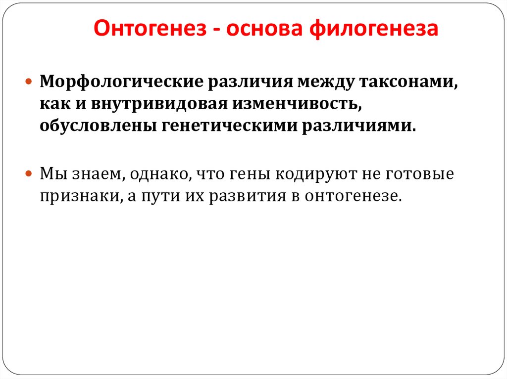 Онтогенез основа филогенеза презентация