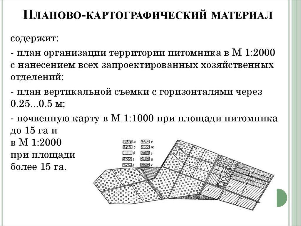 План организации питомника